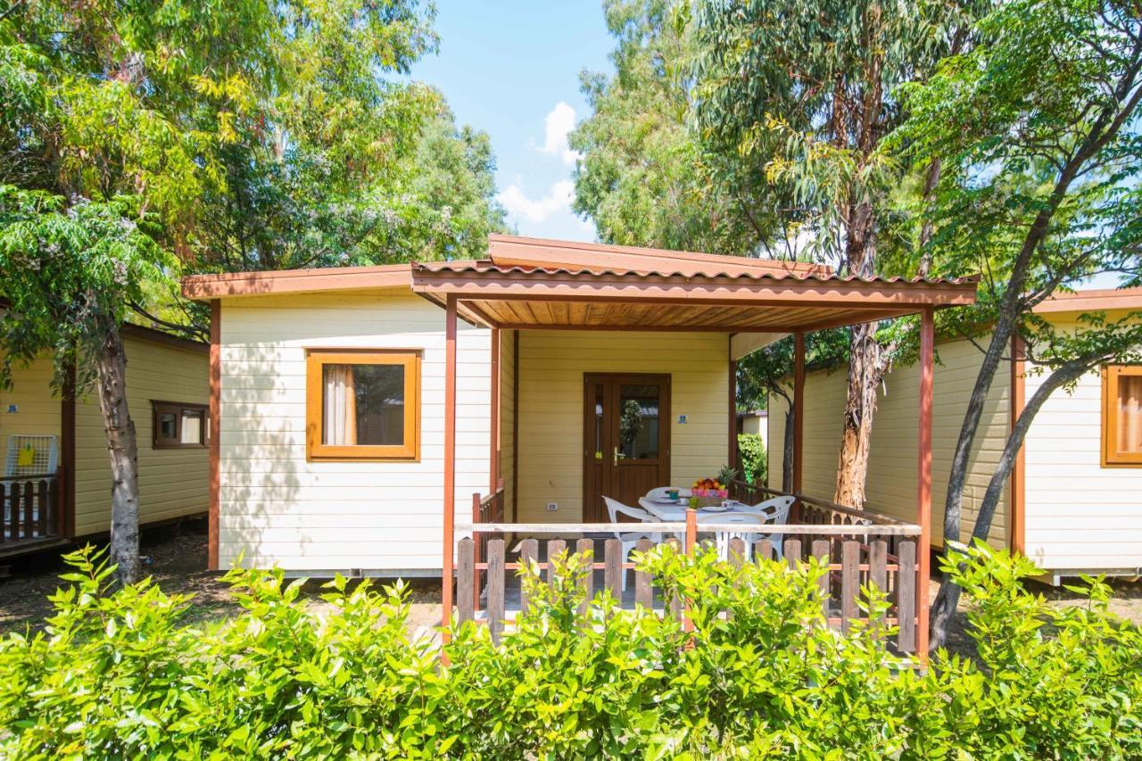 Camping Le Palme Marina Di Bibbona Ngoại thất bức ảnh